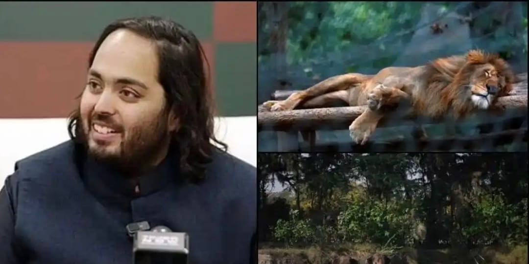 Anant Ambani