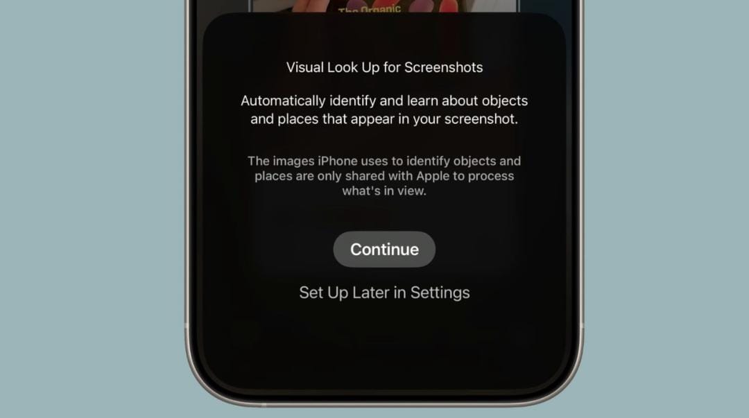 iPhone setup screen for Visual Look Up for Screenshots, explaining how it identifies objects and places
